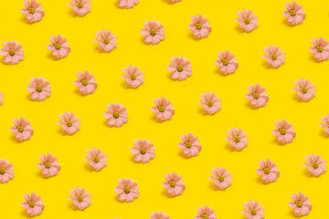 Scheme of small decorative and artificial pink flowers arranged in a row on a yellow background. Floral background.Background from flowers.