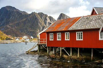 Obraz premium Harbor in Lofoten islands, Norway, Reine village