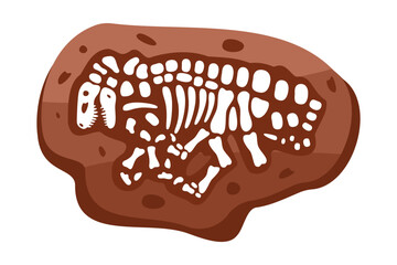 Velociraptor fossils skeleton. Velociraptor fossil bones. Dinosaur skeleton. Dinosaur bones with skull. Paleontology and archeology.