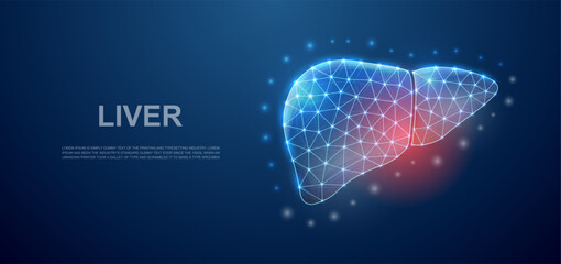 Liver 3d low poly symbol with pain center for landing page template. Liver pain design illustration concept. Polygonal organ illustration