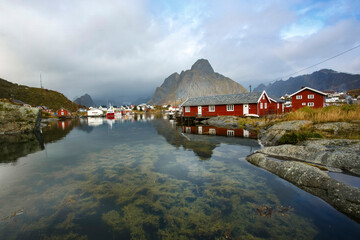 Naklejka premium Harbor in Lofoten islands, Norway, Reine village