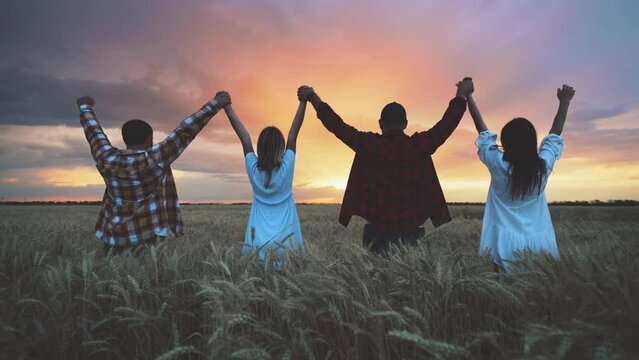 four people are holding and raising hands up standing in golden field in sunset or sunrise time, rear view, teamwork in business, two men and two women business partners, togetherness and supporting