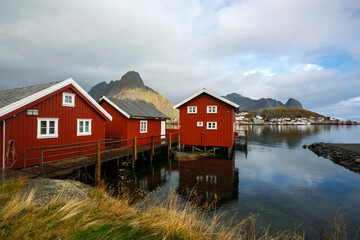 Harbor in Lofoten islands, Norway, Reine village