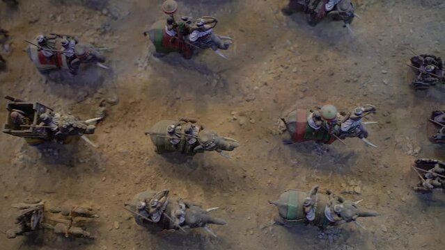 Elephants. War elephants participating in the war.
