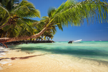 Palm trees on wild tropical beach and speed boat in caribbean sea, La Romana, Punta Cana, Saona island,  Playa Bayahibe, Dominican Republic