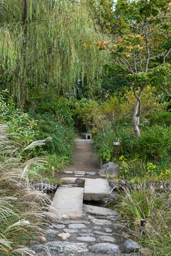 向島百花園, ススキ,石橋,紅葉 © photocoto
