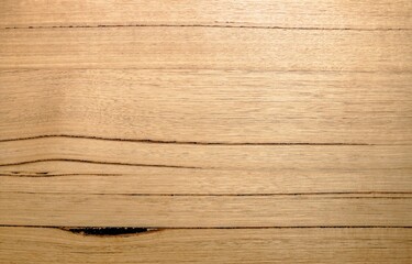 Tasmanian Oak Timber texture