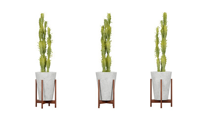 Set of cactus plants in pots isolated, white vase, interior and exterior decoration, 3d render illustration.