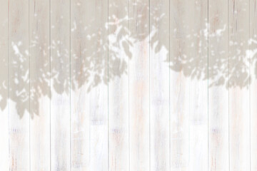 白い木の壁_葉っぱの影