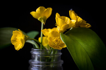 Closeup of yellow flowers in a glass jar