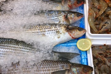 Fish market in England - grey mullet