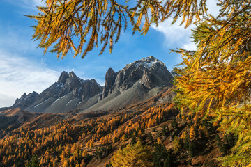  Paysage de la vallée de la Clarée à l' automne , Hautes-Alpes , France	