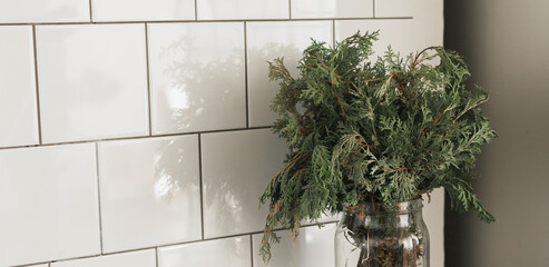Banner Green branch of juniper in glass vase on kitchen. Still life copy space and empty space for advertising