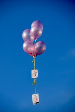 Pink balloons in the sky