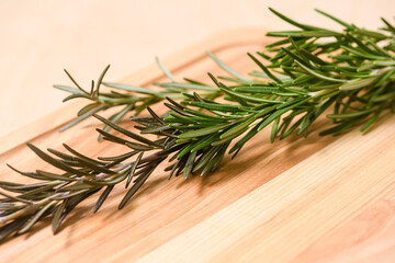 Fresh rosemary branches for spicy food on wooden background