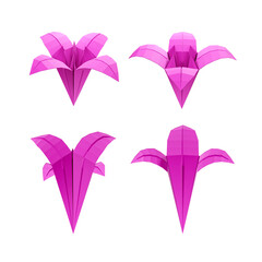 3d rendering top and bottom origami flower sprite sequences perspective view