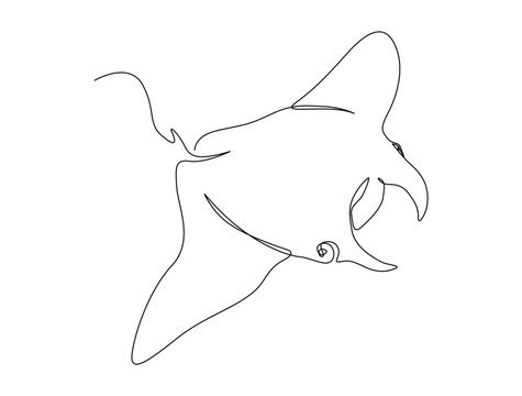 recommend clip art: Continuous one line drawing of manta ray. Simple illustration of stingray fish line art vector illustration