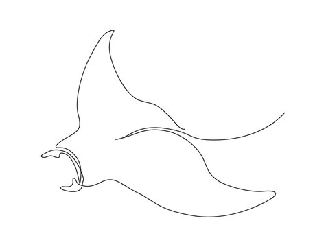 black line art manta ray clip art preview