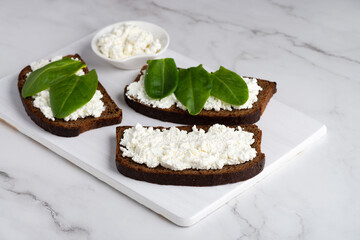 Slice of rye bread with cottage cheese and spinach on a wooden cutting board on a white background