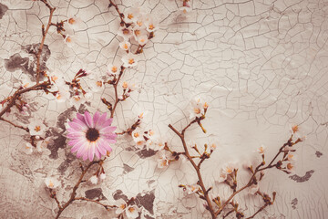 Spring background with beautiful white and pink flowering branches