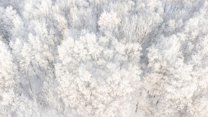 winter background - aerial top view of snowy and frozen winter forest