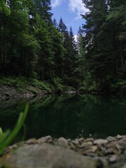 Fototapeta premium Lake in the mountain forest 