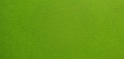 Naklejka na ściany i meble Green paper texture. Green fabric texture. Green background.