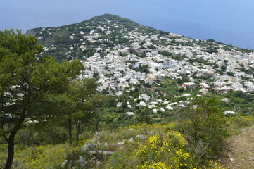 Fototapeta na wymiar Ilha de Capri vista de cima