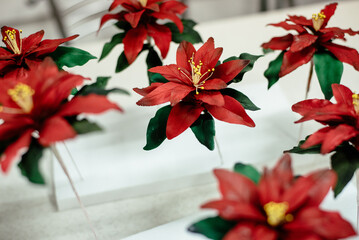Red chocolate flowers on the table in the confectionery. Poinsettia winter flowers made of chocolate.