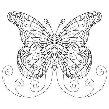 Butterfly hand drawn for adult coloring book