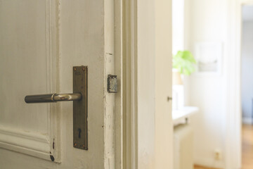 Old door with brass handle