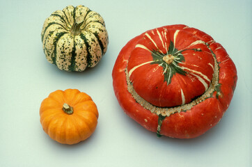 Potiron, Giromon, Turban Turc, Cucurbita maxima 'Duchesne', Patidou 'Sweet Dumpling', Pomarine 'Jack Be Little'