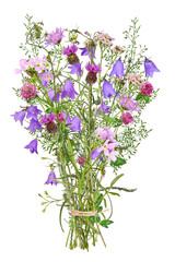 Bouquet with colorful meadow flowers, transparent background