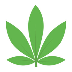 nature and ecology leaf and tree