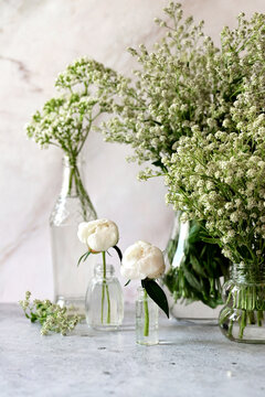 Fresh white gypsophila, piones on a white background. Wedding date. An invitation to a holiday. Congratulation.An empty space for text. View from above.