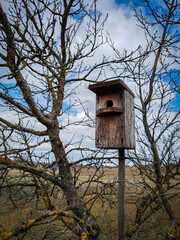 bird house on a tree