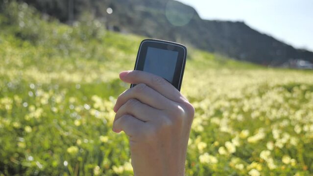 Woman's hand holding a glucometer on a field of yellow flowers