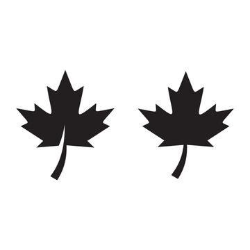 maple leaf logo symbol