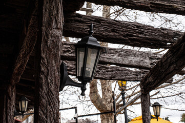 bird house in the woods