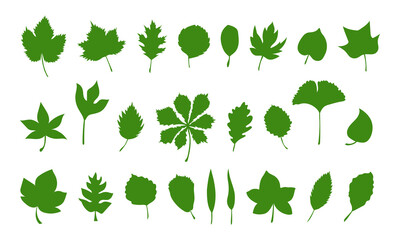 Set of vector spring leaves, herbal element. Big collection of simple green leaves. Silhouettes of spring botanical vector flat plant illustration. Can be used as isolated sign, symbol and icon.