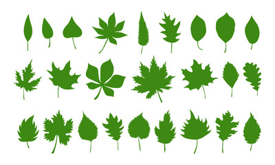 Big set of vector spring leaves, herbal element. Collection of simple green leaves. Can be used as isolated sign, symbol and icon. Collection of spring botanical vector flat plant illustration