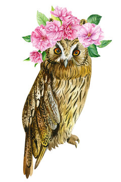 Cute owl and pink flowers on isolated white background. Watercolor hand draw forest bird. poster with owl 