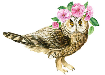 Cute owl and pink flowers on isolated white background. Watercolor hand draw forest bird. poster with owl 