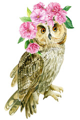 Cute owl and pink flowers on isolated white background. Watercolor hand draw illustration, spring sakura flowers
