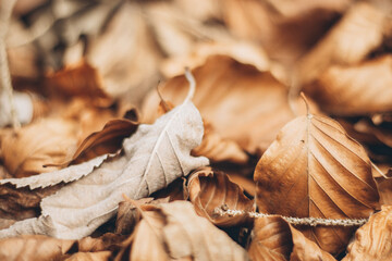 Beautiful Panoramahike near St. Gilgen around Wolfgangsee Austria