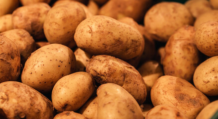 Raw dirty potatoes in the supermarket, close-up.