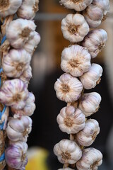 Two fresh Garlic bundles hanging on a market in Leon-Spain.