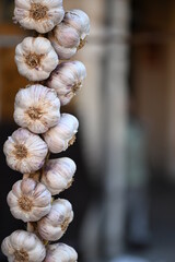Hanging, fresh Garlic on a market in Leon-Spain. 