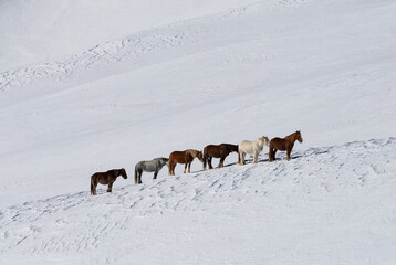 Winter landscape around Castelluccio di Norcia, Italy