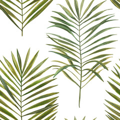 Green palm leaf pattern. Tropical plants. Watercolor botany.